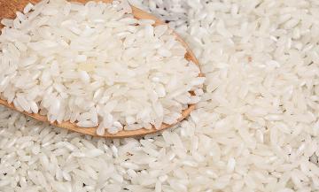 Шлифованный рис: особенности и класссификация